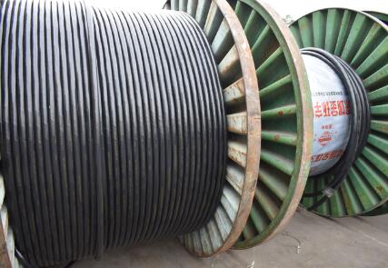 <a href='http://www.xlwkyl.cn/' target='_blank'><u>金環(huán)宇電纜</u></a>