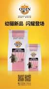 奧丁精品幼貓糧閃耀登場(chǎng)?。?！
