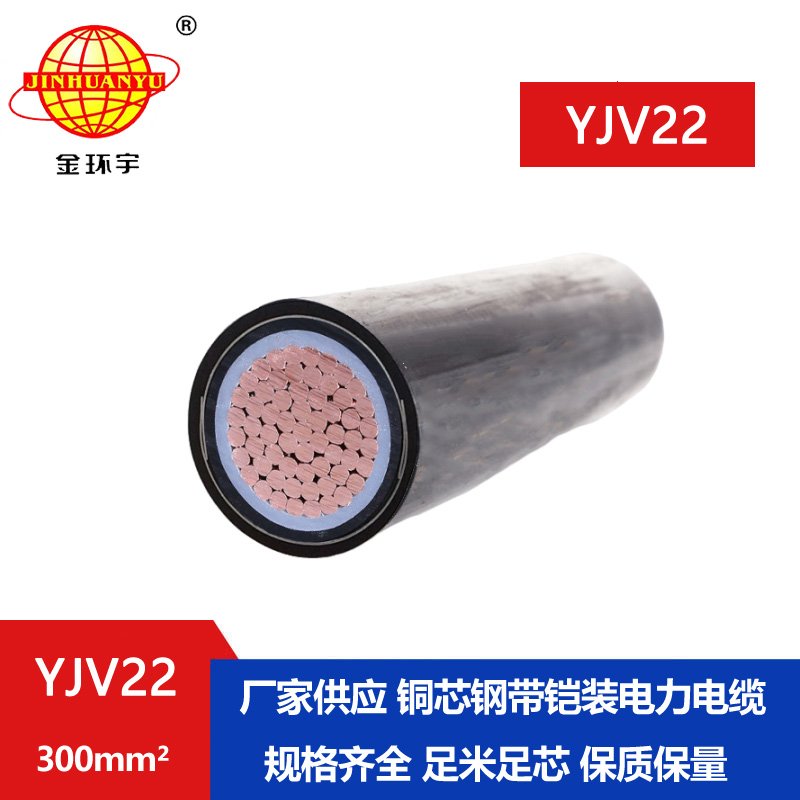 金環(huán)宇電線(xiàn)電纜 室外電纜鎧裝YJV22-300平方 深圳